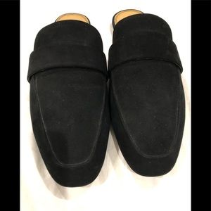 Splendid Black Mules, New